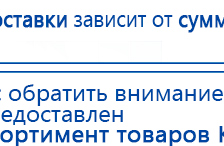 Пояс электрод купить в Бийске, Электроды Меркурий купить в Бийске, Нейродэнс ПКМ официальный сайт - denasdevice.ru